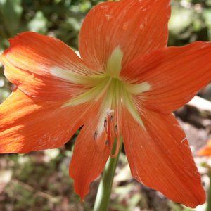 Meet your Posher, Sandi